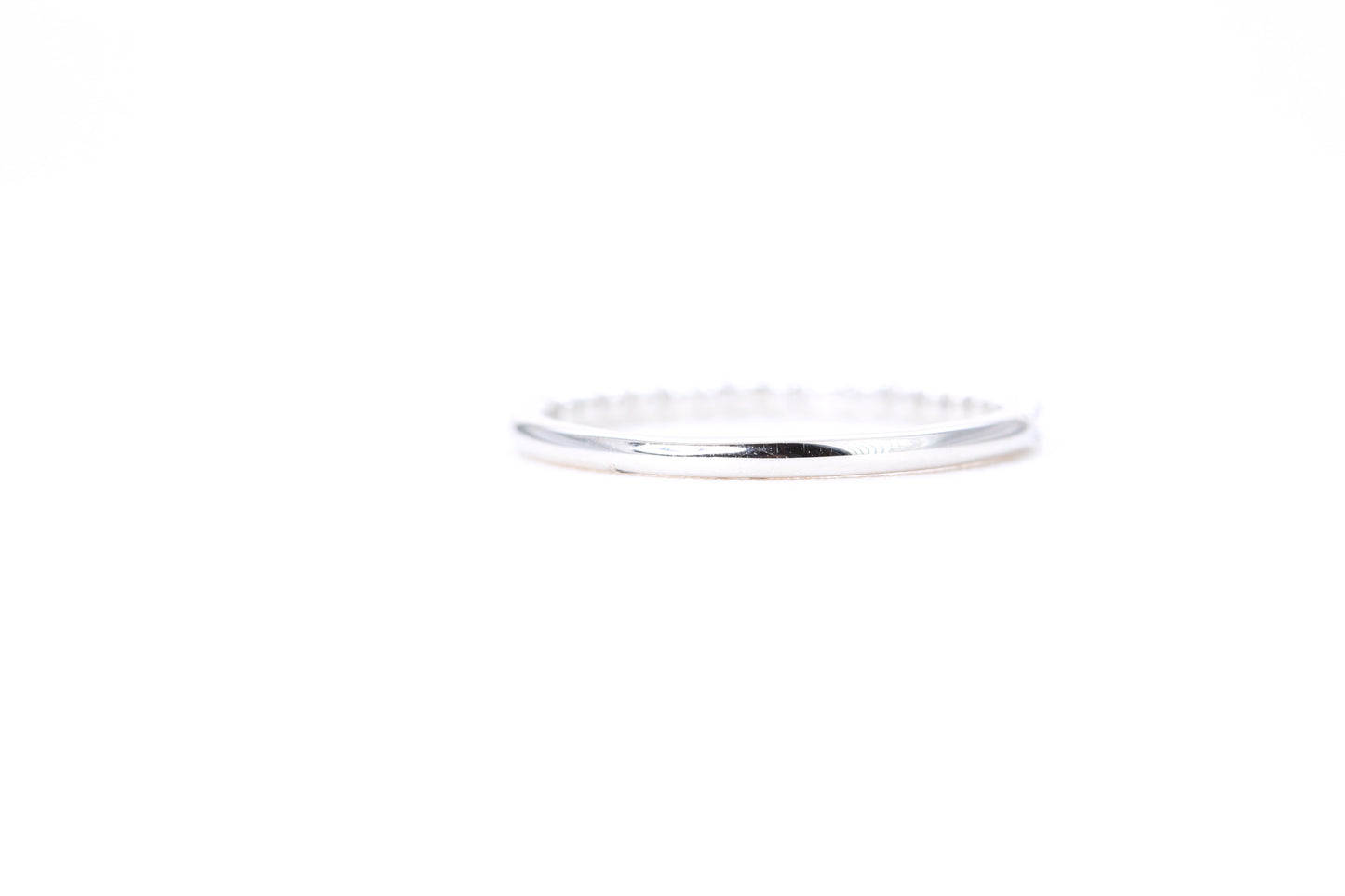 Micro Pavé 1/4 Carat Diamond Ring in 14K White Gold