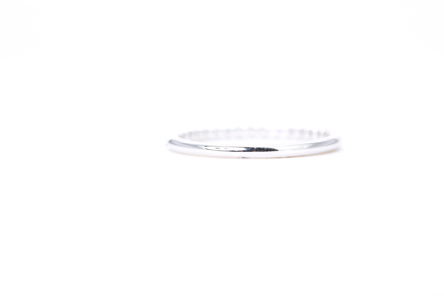 Micro Pavé 1/4 Carat Diamond Ring in 14K White Gold